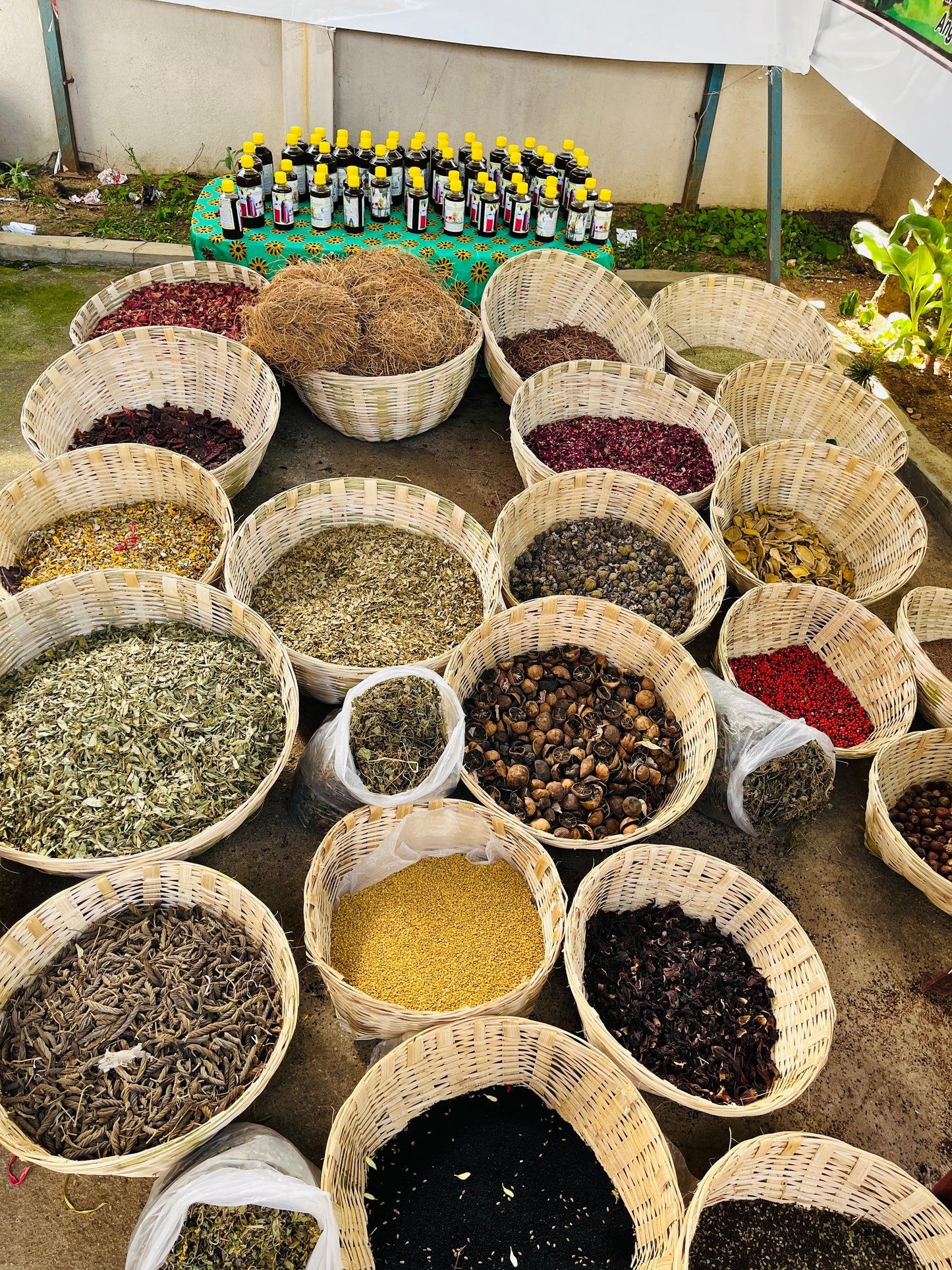 ADIVASI KARNATAKA HAKKI PIKKI HERBAL OIL